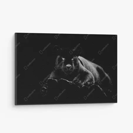 Quadro su tela pantera nera dallo sguardo ipnotico • Wallissimo®