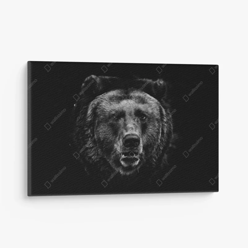 Quadro su tela sguardo profondo dell'orso