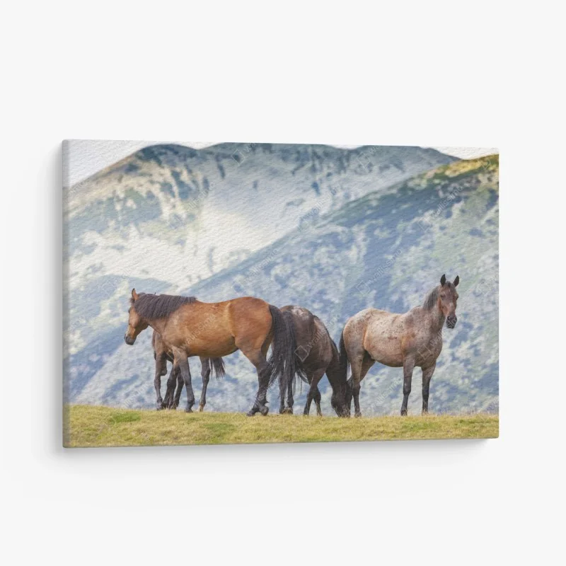 Quadro su tela cavalli al pascolo sulle montagne