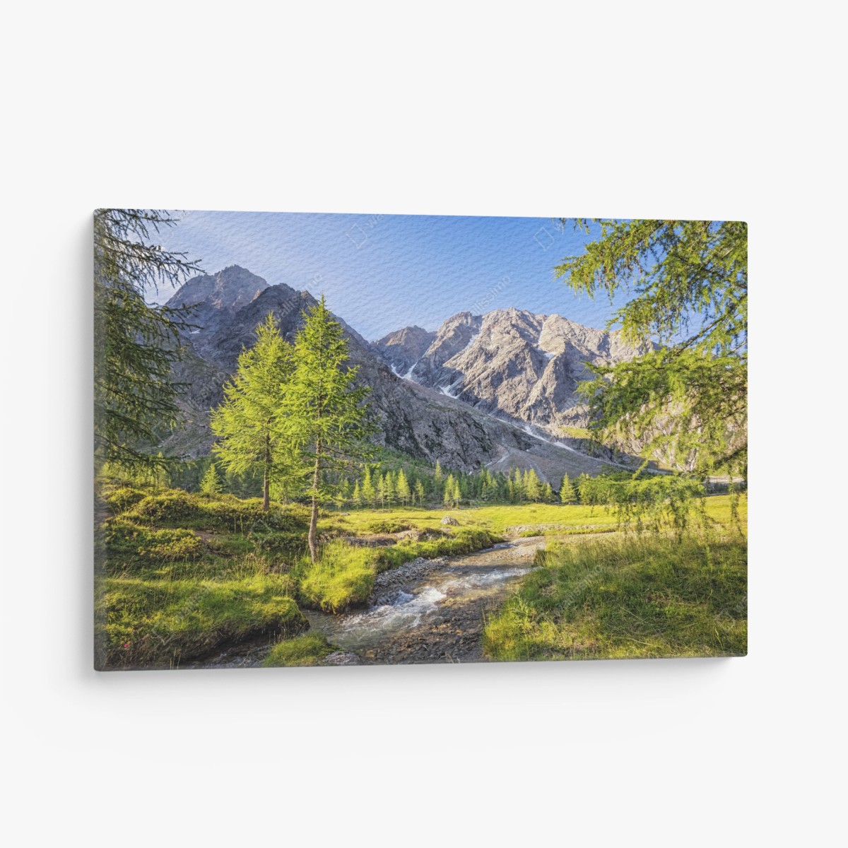 Quadro su tela paesaggio alpino con torrente e larici • Wallissimo®