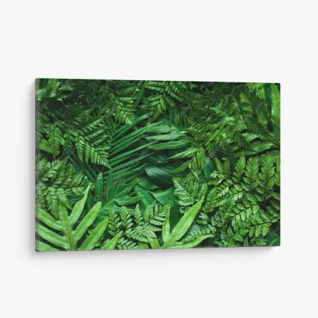 Quadro su tela motivo botanico di foglie tropicali • Wallissimo®