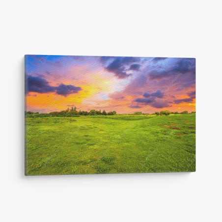 Quadro su tela tramonto sul prato verde • Wallissimo®