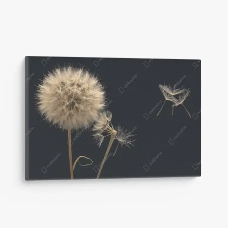 Quadro su tela soffione sospeso su sfondo scuro • Wallissimo®