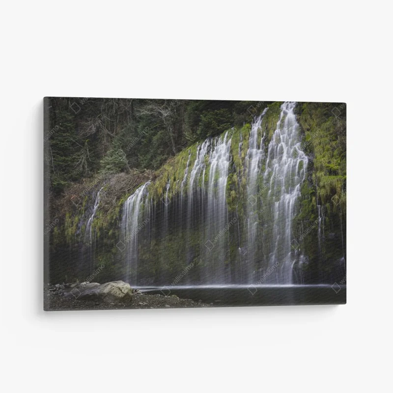 Quadro su tela cascata di muschio nella foresta