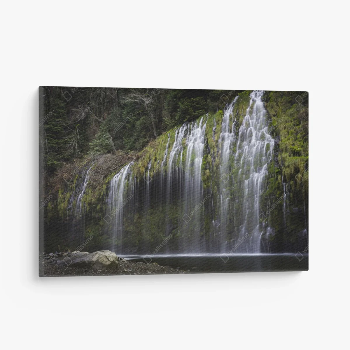 Quadro su tela cascata di muschio nella foresta • Wallissimo® Quadro su tela cascata di muschio nella foresta • Wallissimo®