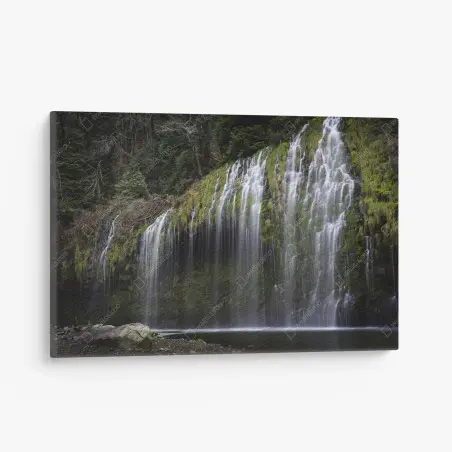 Quadro su tela cascata di muschio nella foresta • Wallissimo®