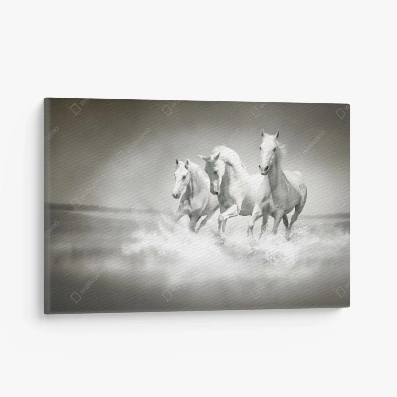 Quadro su tela tre cavalli bianchi al galoppo sull'acqua