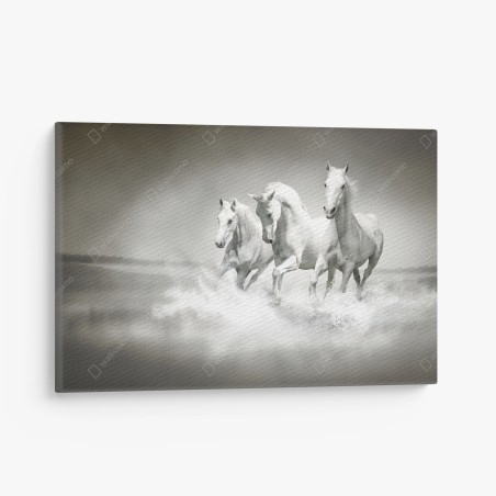 Quadro su tela tre cavalli bianchi al galoppo sull'acqua • Wallissimo®