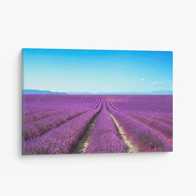 Quadro su tela distese di lavanda all'orizzonte
