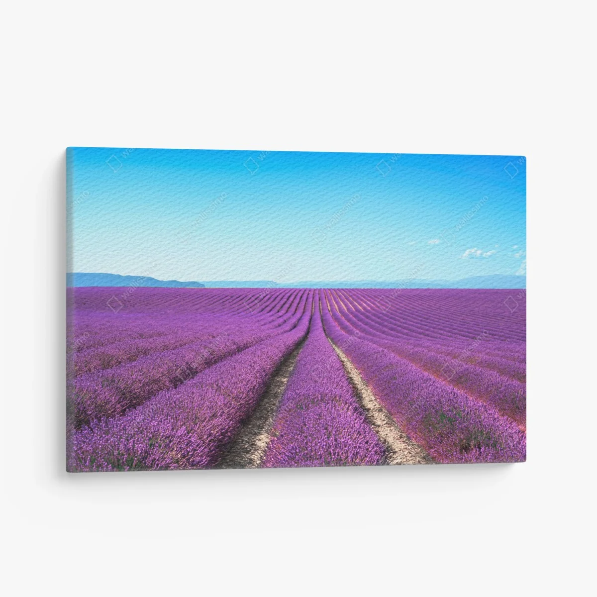 Quadro su tela distese di lavanda all'orizzonte • Wallissimo® Quadro su tela distese di lavanda all'orizzonte • Wallissimo®