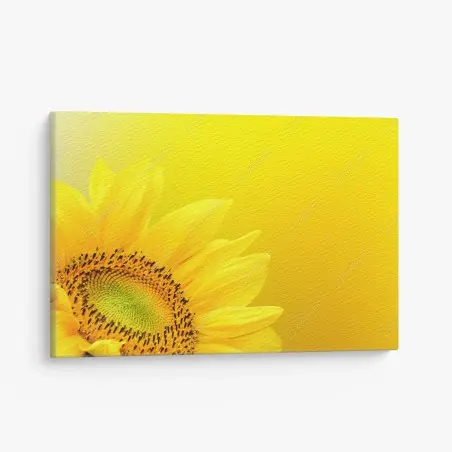 Quadro su tela girasole luminoso su sfondo giallo • Wallissimo®