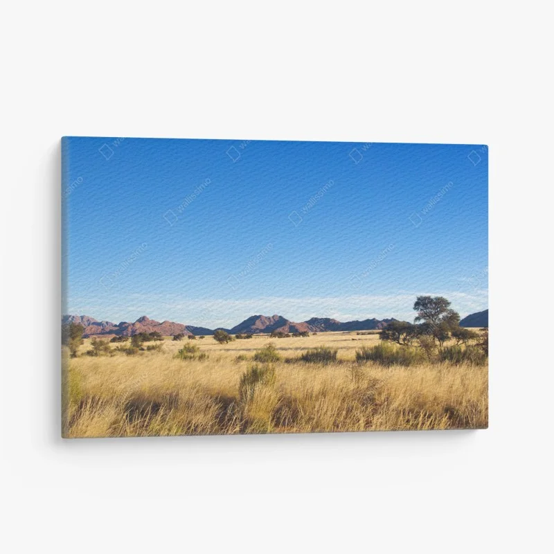 Quadro su tela savana dorata e montagne lontane
