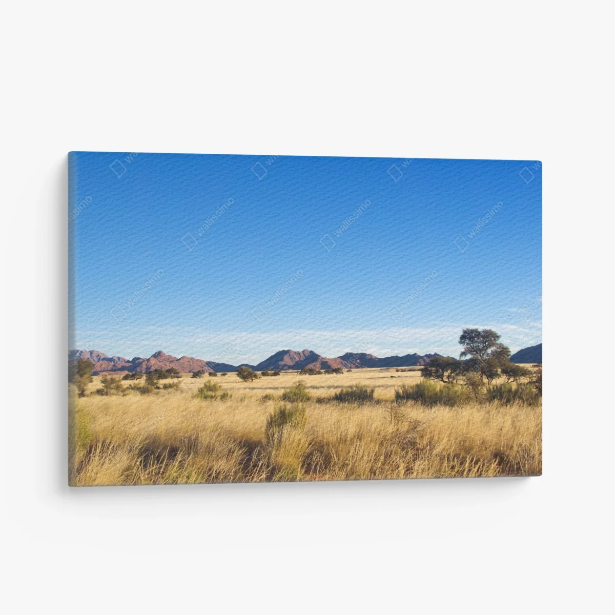Quadro su tela savana dorata e montagne lontane • Wallissimo® Quadro su tela savana dorata e montagne lontane • Wallissimo®