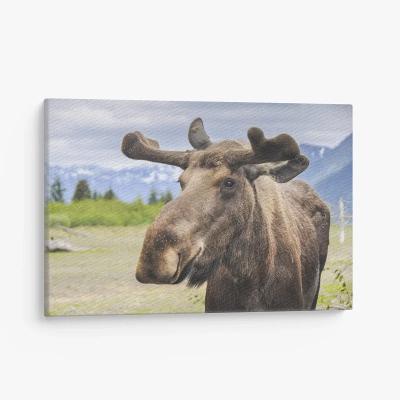 Quadro su tela alce maestoso in primo piano