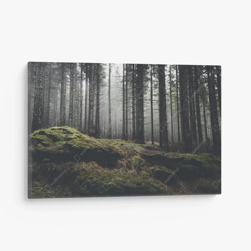 Quadro su tela bosco nebbioso e muschio verde