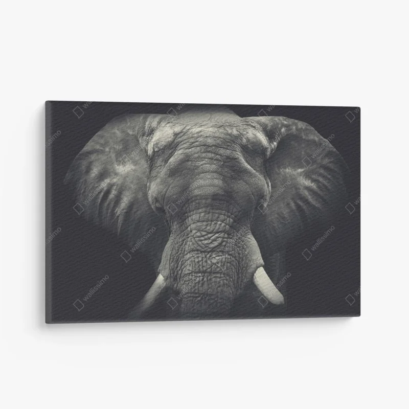 Quadro su tela elefante maestoso ritratto monocromatico