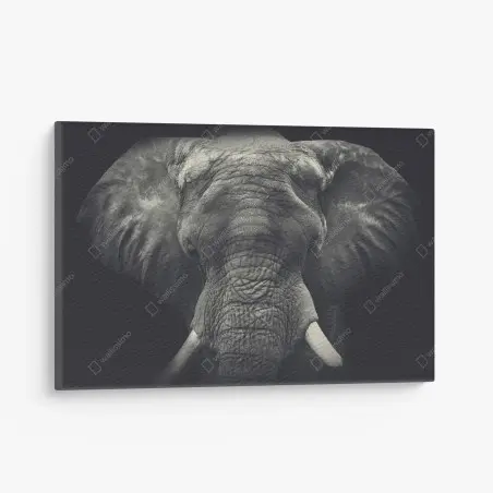 Quadro su tela elefante maestoso ritratto monocromatico • Wallissimo®