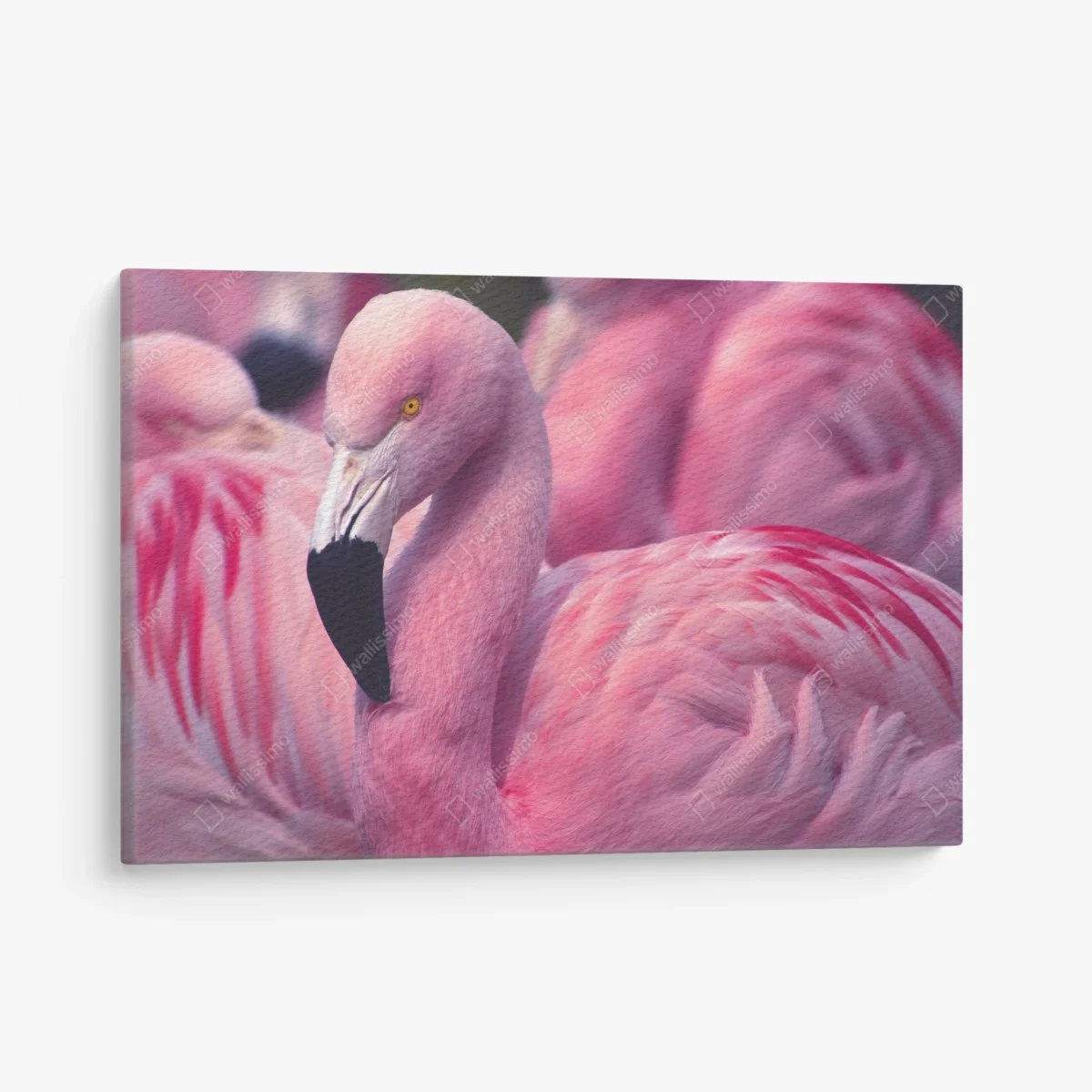 Quadro su tela eleganza del fenicottero rosa • Wallissimo® Quadro su tela eleganza del fenicottero rosa • Wallissimo®
