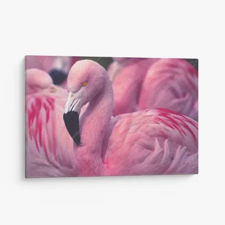Quadro su tela eleganza del fenicottero rosa • Wallissimo®