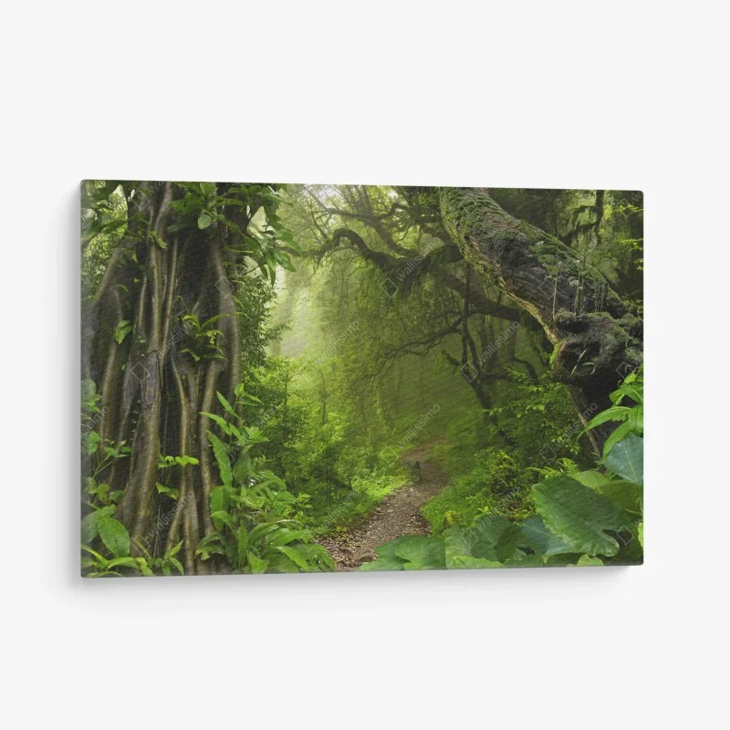 Quadro su tela sentiero incantato nella foresta pluviale