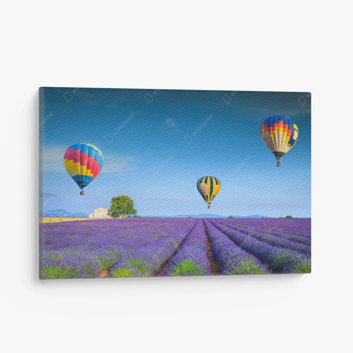 Quadro su tela sogno di lavanda a Valensole, Provenza • Wallissimo® Quadro su tela sogno di lavanda a Valensole, Provenza • Wallissimo®