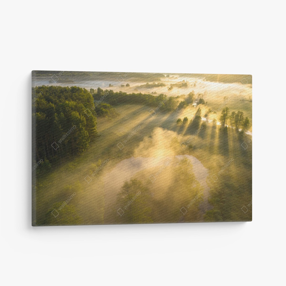 Quadro su tela alba dorata sul fiume nebbioso • Wallissimo®