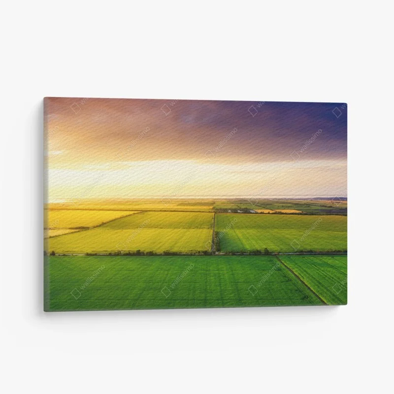 Quadro su tela tramonto dorato sui campi visti dall'alto