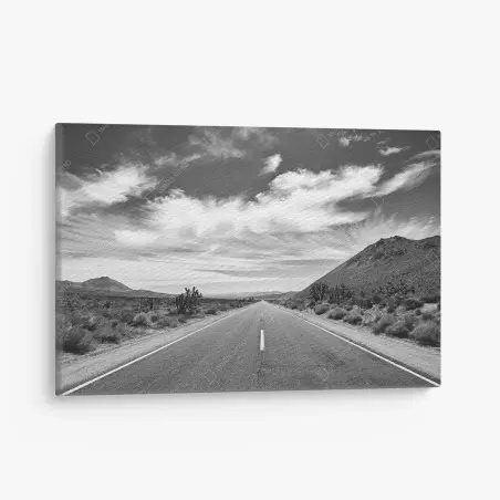 Quadro su tela strada infinita nel deserto di Death Valley • Wallissimo®