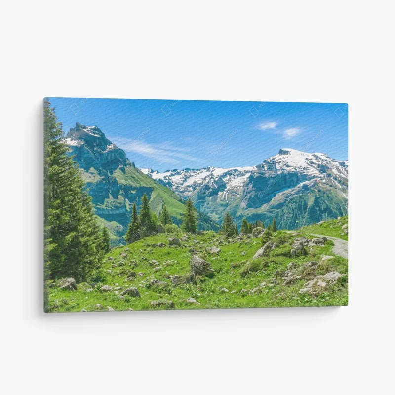 Quadro su tela panorama alpino di Engelberg