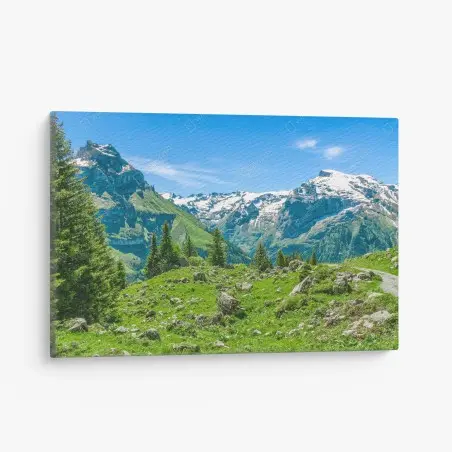 Quadro su tela panorama alpino di Engelberg • Wallissimo®