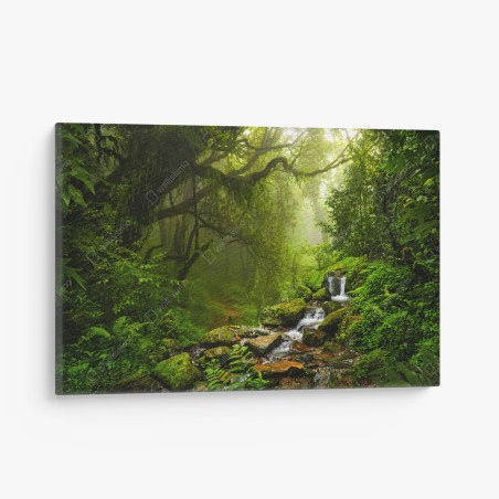 Quadro su tela paesaggio verde: ruscello nella foresta incantata • Wallissimo®