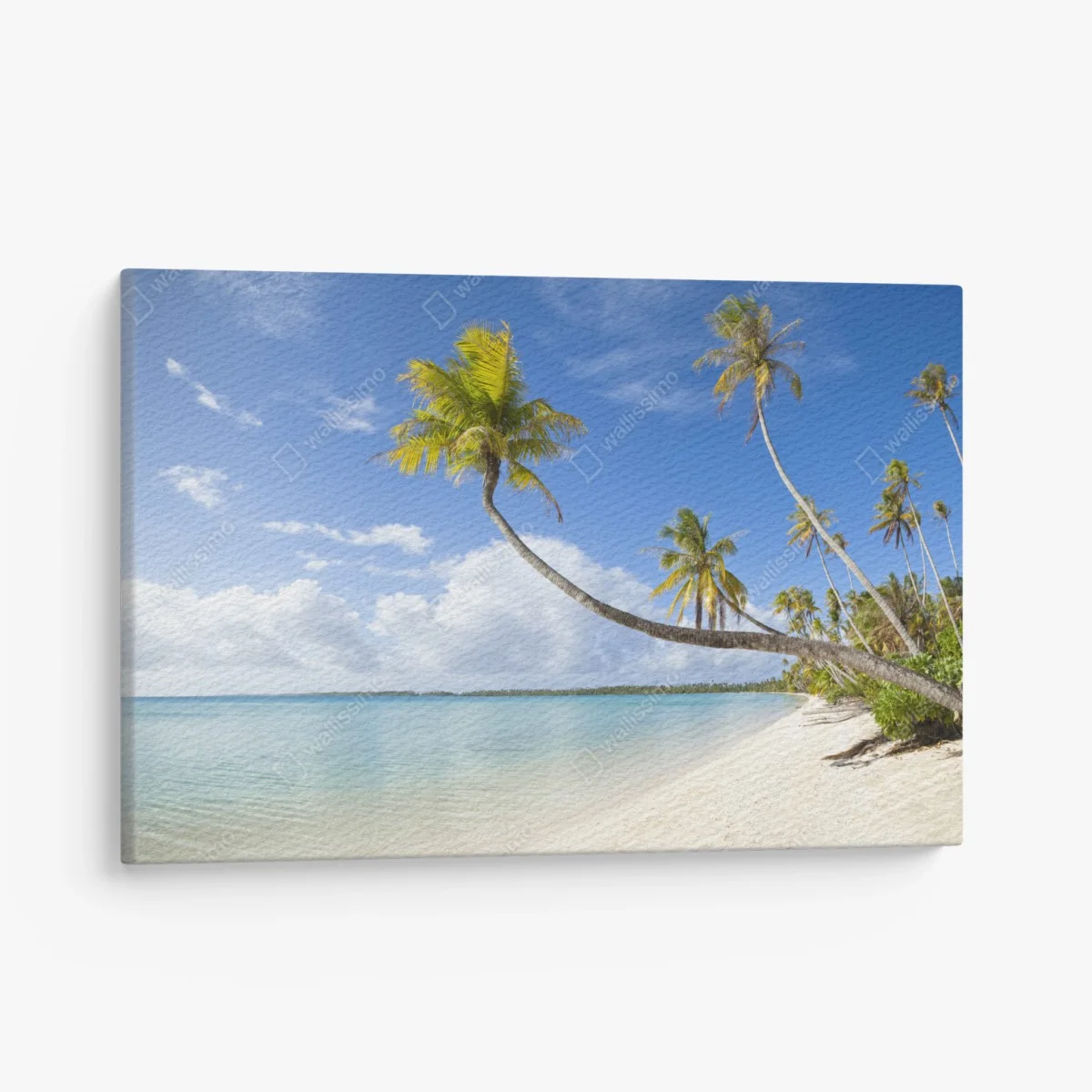 Quadro su tela oasi tropicale: palme e mare cristallino • Wallissimo® Quadro su tela oasi tropicale: palme e mare cristallino • Wallissimo®