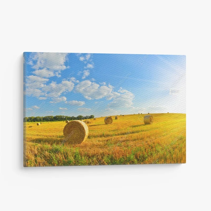 Quadro su tela paesaggio dorato con balle di fieno