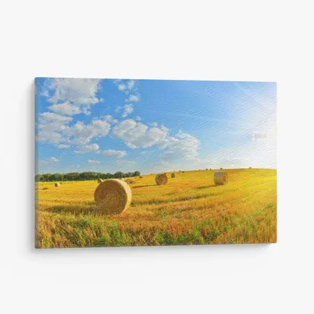 Quadro su tela paesaggio dorato con balle di fieno • Wallissimo®