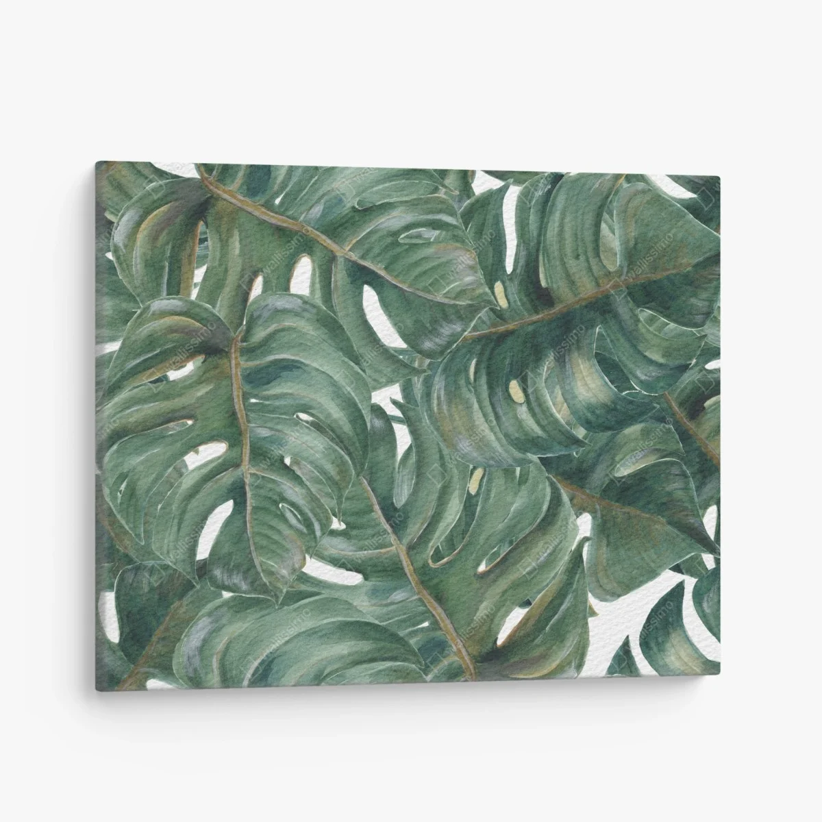 Quadro su tela motivo botanico di foglie di monstera • Wallissimo® Quadro su tela motivo botanico di foglie di monstera • Wallissimo®