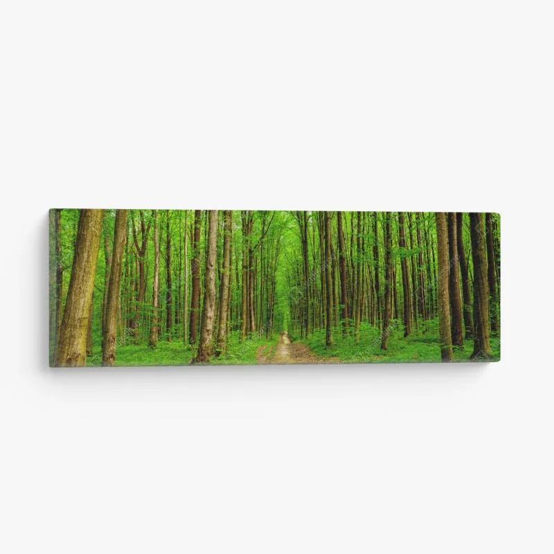 Quadro su tela viale primaverile nel bosco