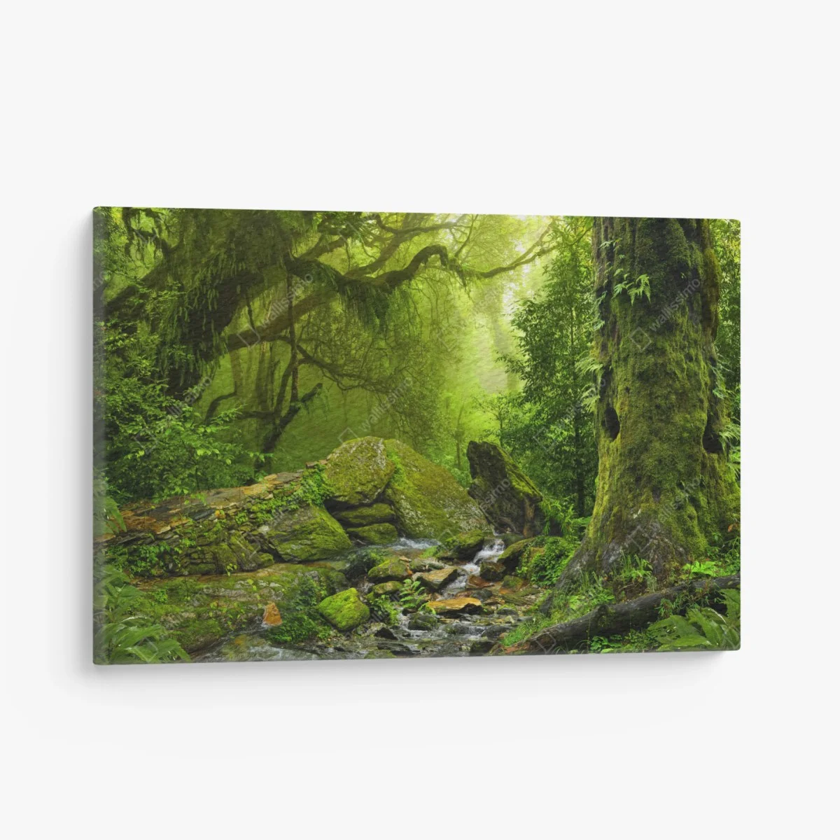 Quadro su tela bosco incantato: luce e muschio • Wallissimo® Quadro su tela bosco incantato: luce e muschio • Wallissimo®
