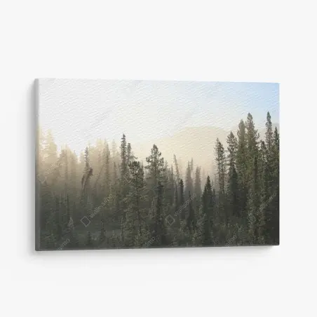 Quadro su tela nebbia mattutina tra i pini • Wallissimo®
