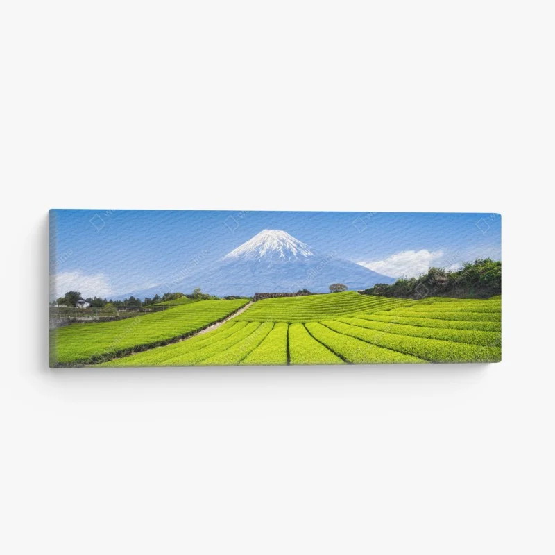 Quadro su tela paesaggio verde di Monte Fuji e campi di tè
