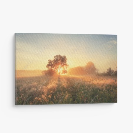 Quadro su tela alba dorata sul prato • Wallissimo®