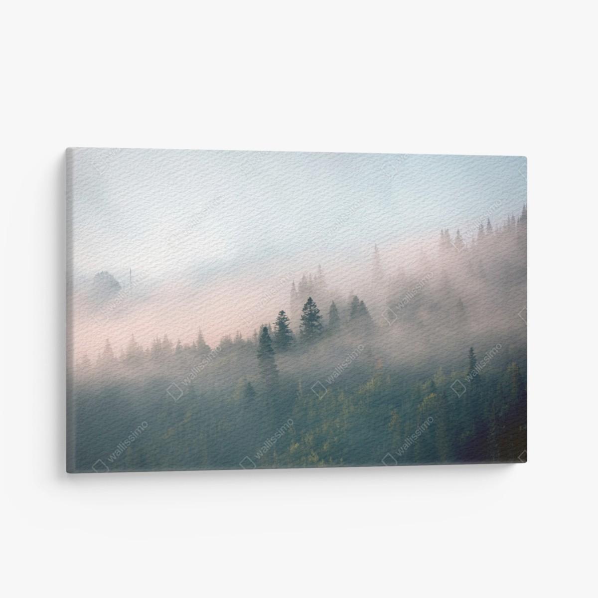 Quadro su tela alba nella foresta avvolta dalla nebbia • Wallissimo®