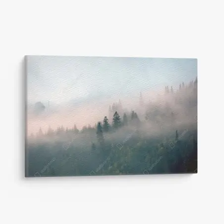 Quadro su tela alba nella foresta avvolta dalla nebbia • Wallissimo®