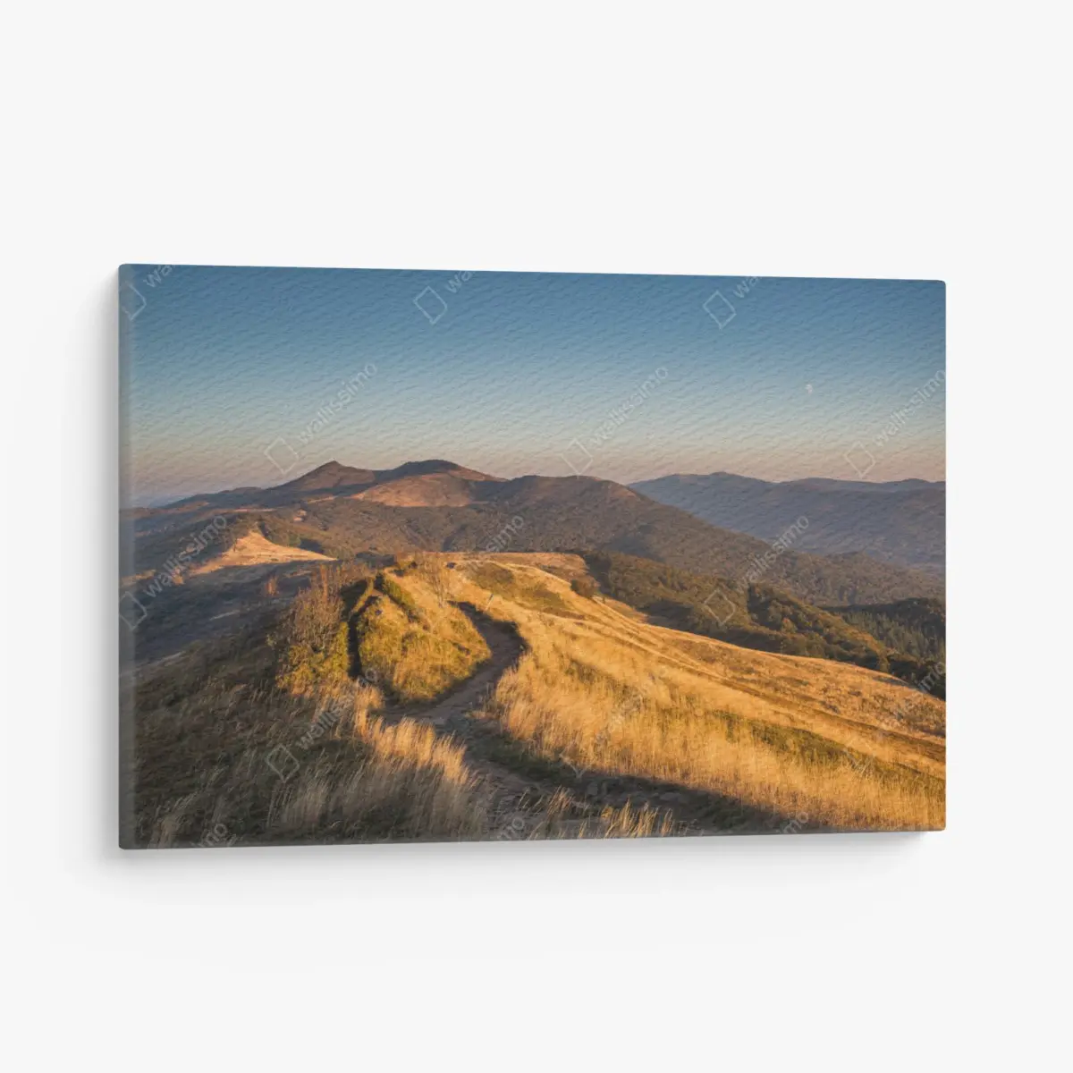 Quadro su tela sentiero dorato sulle colline al tramonto • Wallissimo®