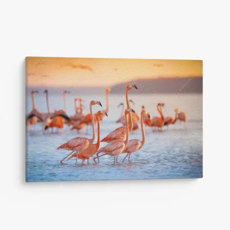 Quadro su tela eleganza dei fenicotteri al tramonto • Wallissimo®