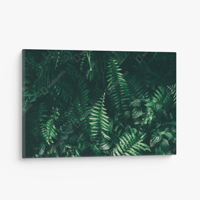 Quadro su tela verde tropicale: atmosfera di giungla in tonalità scure