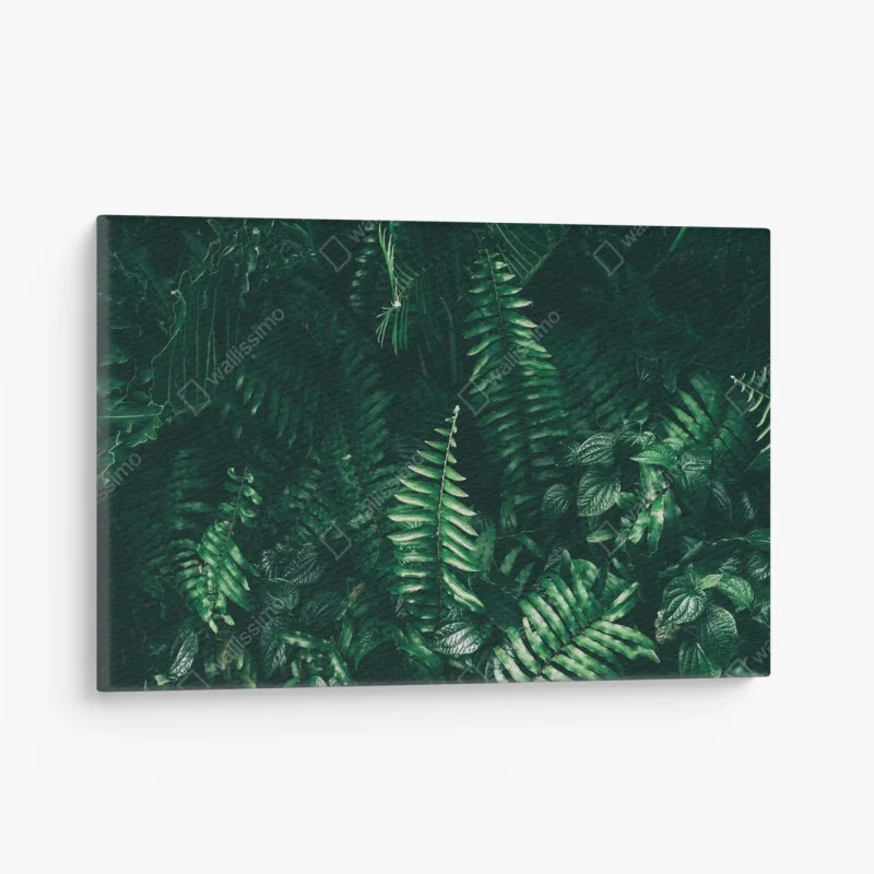 Quadro su tela verde tropicale: atmosfera di giungla in tonalità scure