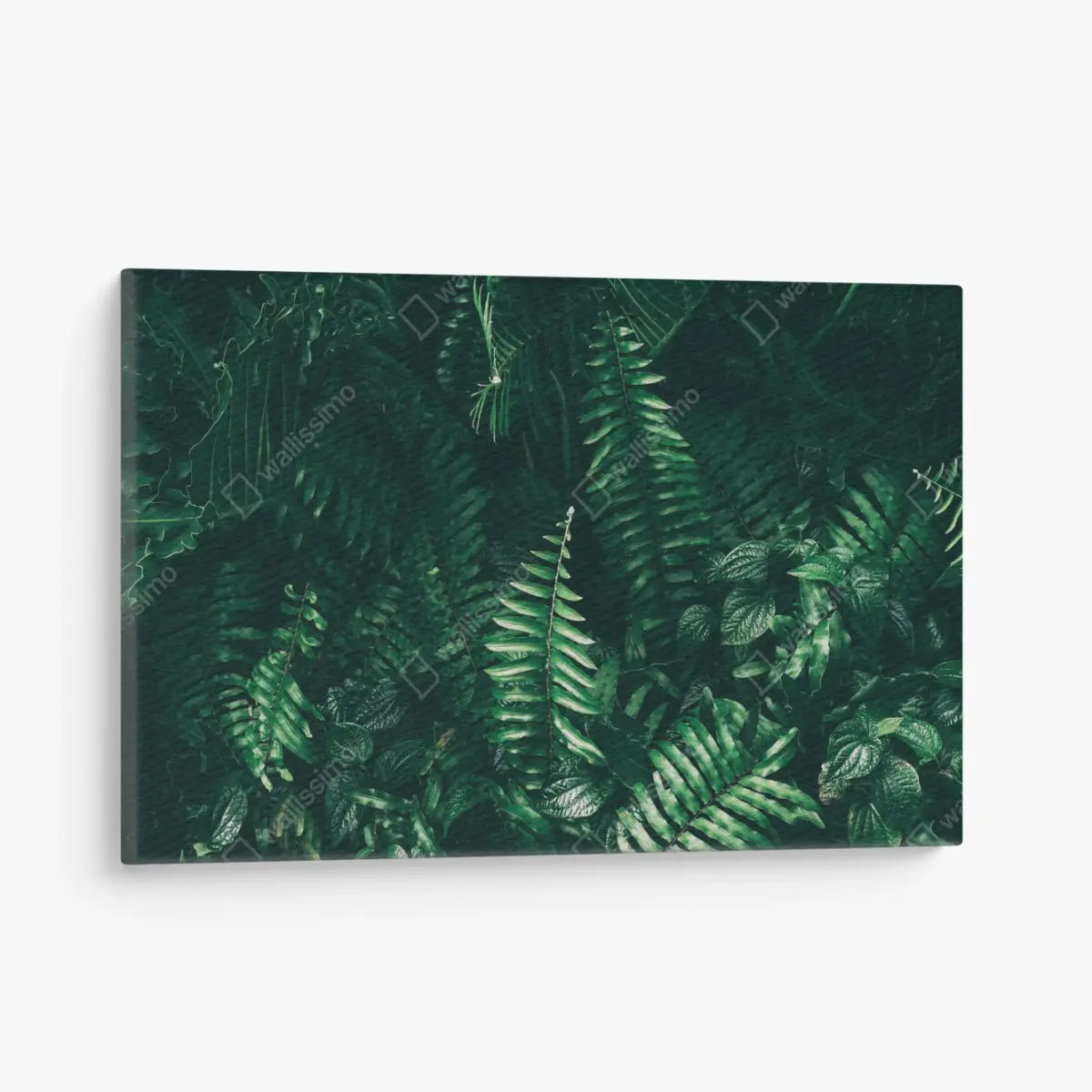 Quadro su tela verde tropicale: atmosfera di giungla in tonalità scure • Wallissimo®
