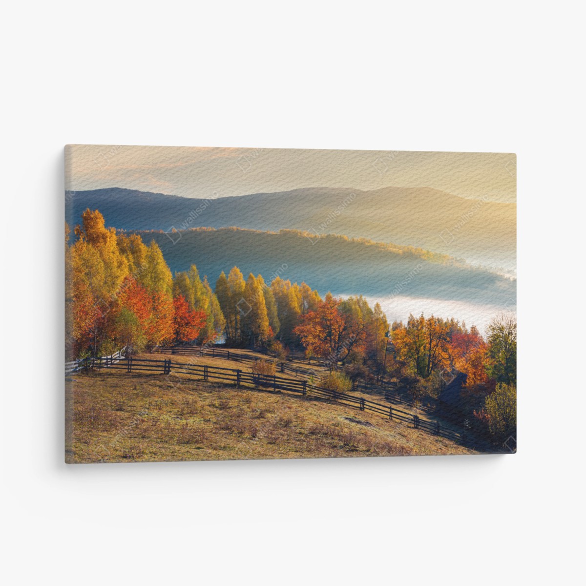 Quadro su tela mattina d'autunno sulle colline nebbiose • Wallissimo®