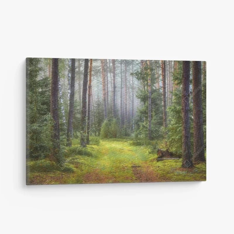 Quadro su tela rifugio di luce nella foresta
