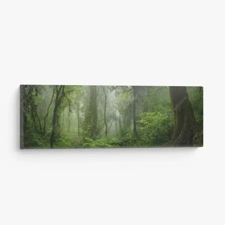 Quadro su tela foresta pluviale nebbiosa • Wallissimo®